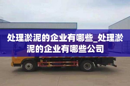 處理淤泥的企業(yè)有哪些_處理淤泥的企業(yè)有哪些公司