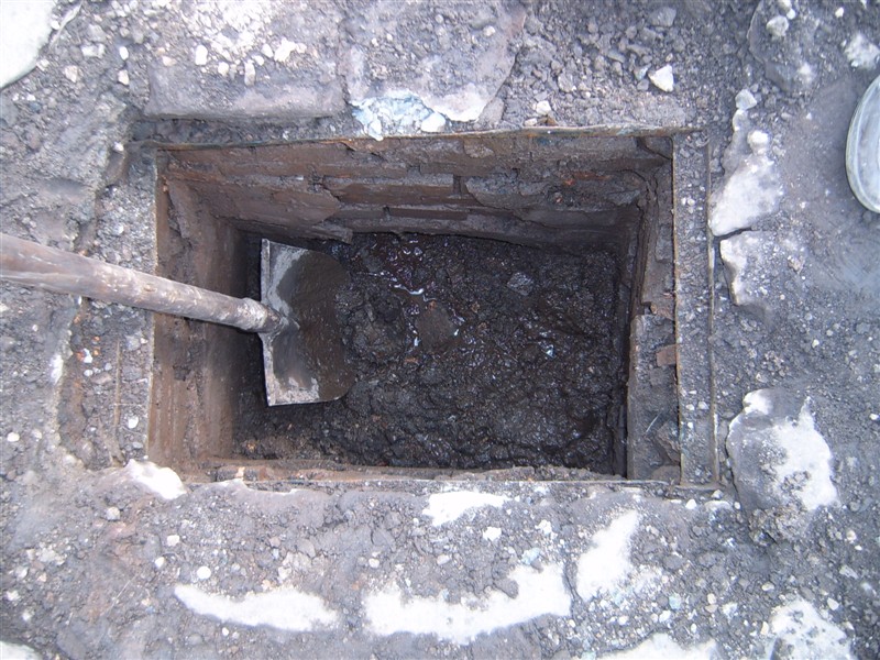 psb (12).jpg